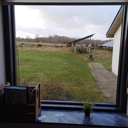 Hyrdeskolen Apartman Give Kültér fotó